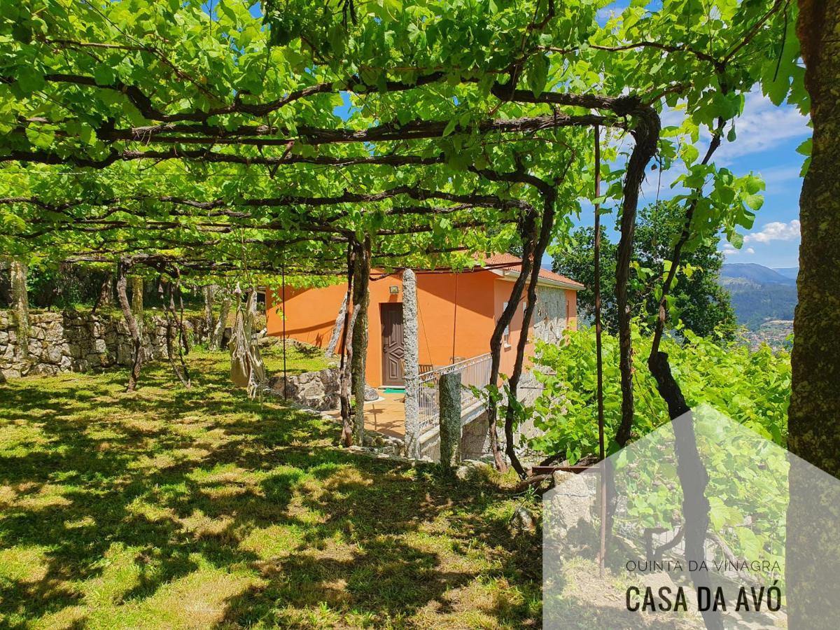 Вилла Quinta Da Vinagra Tourim Экстерьер фото