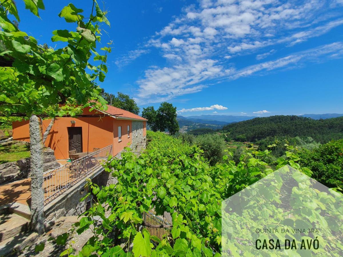 Вилла Quinta Da Vinagra Tourim Экстерьер фото