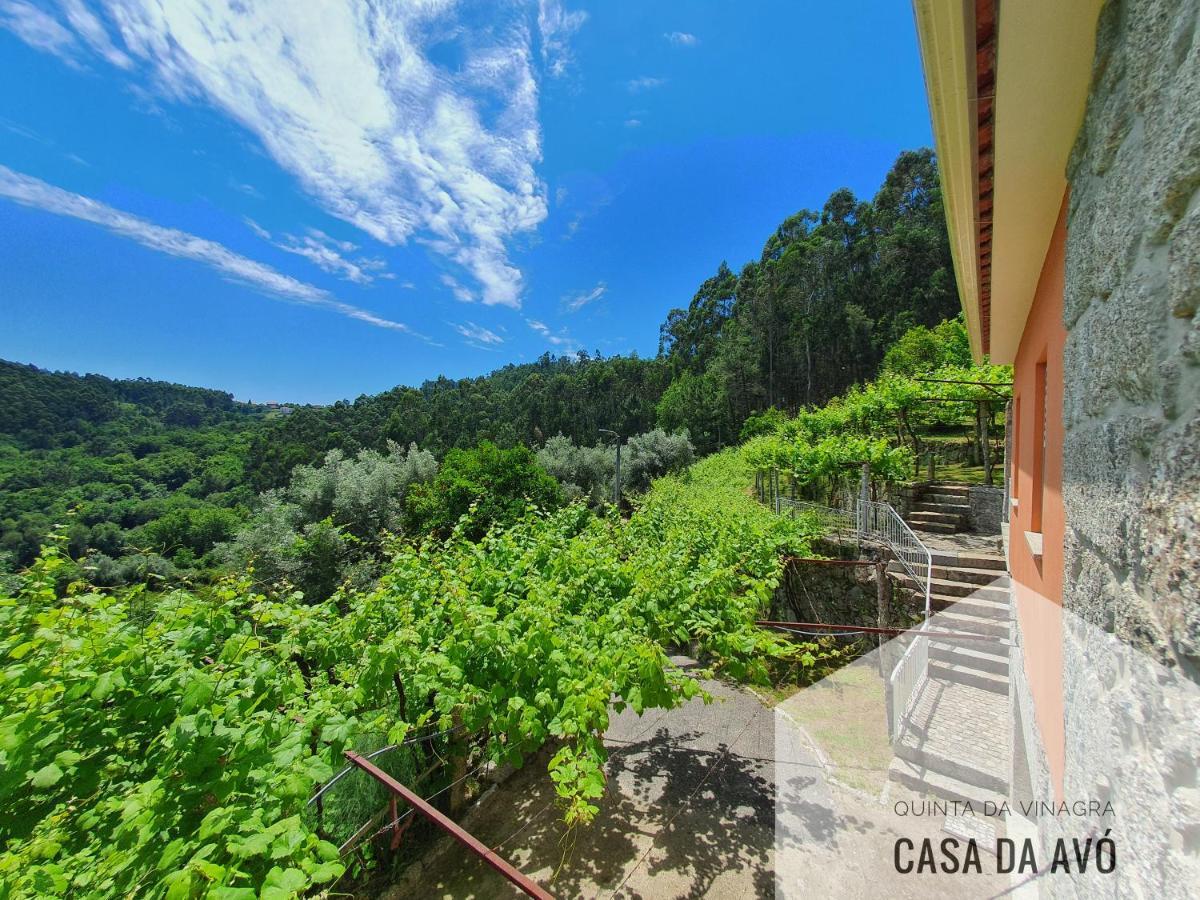 Вилла Quinta Da Vinagra Tourim Экстерьер фото